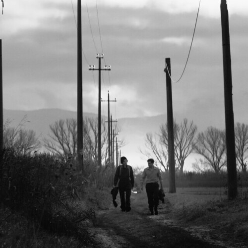 Director: Rocco Anelli
In a post-apocalyptic world devastated by industry, Federico, a solitary man, meets another named Buer. The close and primal connection that develops between them becomes a philosophical and ecological reflection on humanity's end and the hope for a new way of being.
