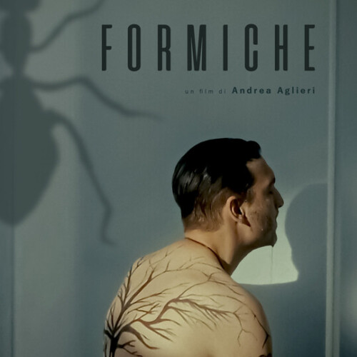 Director: Andrea Aglieri
A man under house arrest no longer knows how to kill time.
